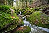Eine Person steht auf moosbedeckten Felsen, die eine Wasserschlucht umgeben.