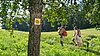 Eine Familie wandert durchs Grüne einen bwegt-Wanderweg entlang