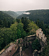 Blick auf eine Ruine und Wald von oben.