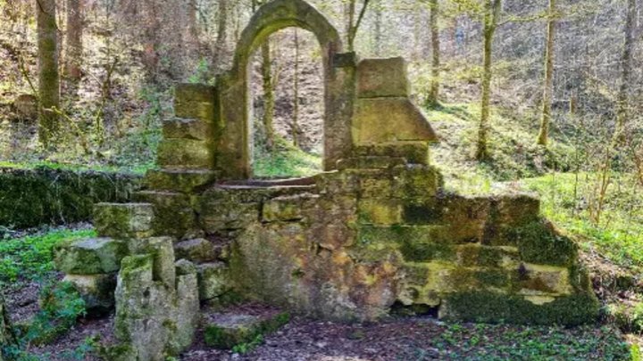 Ruine im Wald