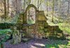 Ruine im Wald