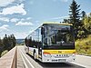 Bus fährt auf einer Landstraße.