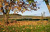 Ein bwegt-Zug fährt durch eine herbstliche Landschaft