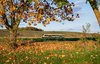 Ein bwegt-Zug fährt durch eine herbstliche Landschaft