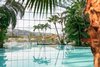 Ein Indoor-Hallenbad mit Palmen