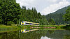 Ein gelber bwegt-Zug fährt duch eine idyllische Landschaft mit See und Wäldern