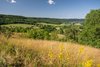 Blick über eine sommerliche Hügellandschaft in Baden-Württemberg mit gelben Wiesen im Vordergrund, grünen Feldern, kleinen Wäldern und vereinzelten Bauernhöfen. Der Himmel ist blau mit wenigen kleinen Wolken.
