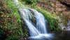 Ein kleiner Wasserfall im Wald