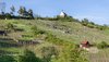 Ausblick auf die Wurmlinger Kapelle auf einem begrünten Hügel