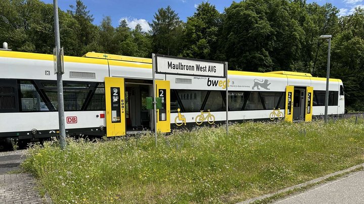 Ein bwegt-Zug fährt in einen Bahnhof ein.