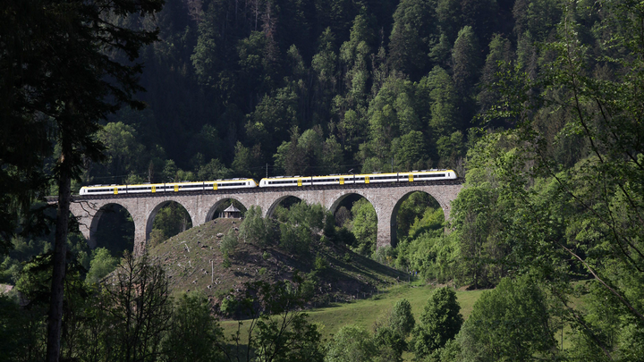 Ein Freizeitexpress fährt im Hochschwarzwald eine Brücke entlang