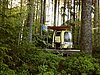 Mitten im Wald steht ein kleiner Camper auf einer Holzplattform.