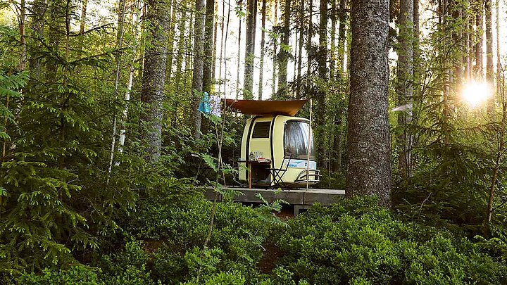 Mitten im Wald steht ein kleiner Camper auf einer Plattform.