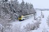 Ein bwegt-Zug fährt an einem verschneiten Wald vorbei