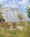 Pavillon aus verbundenen Stöcken bildet eine Kupp mit Bienen im Zentrum.