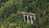 Ein bwegt-Zug fährt über eine Brücke inmitten einer walddichten Region.