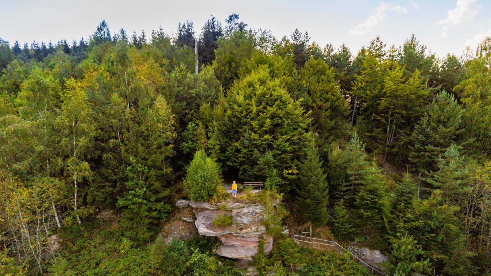 Gebirgslandschaft mit Wald