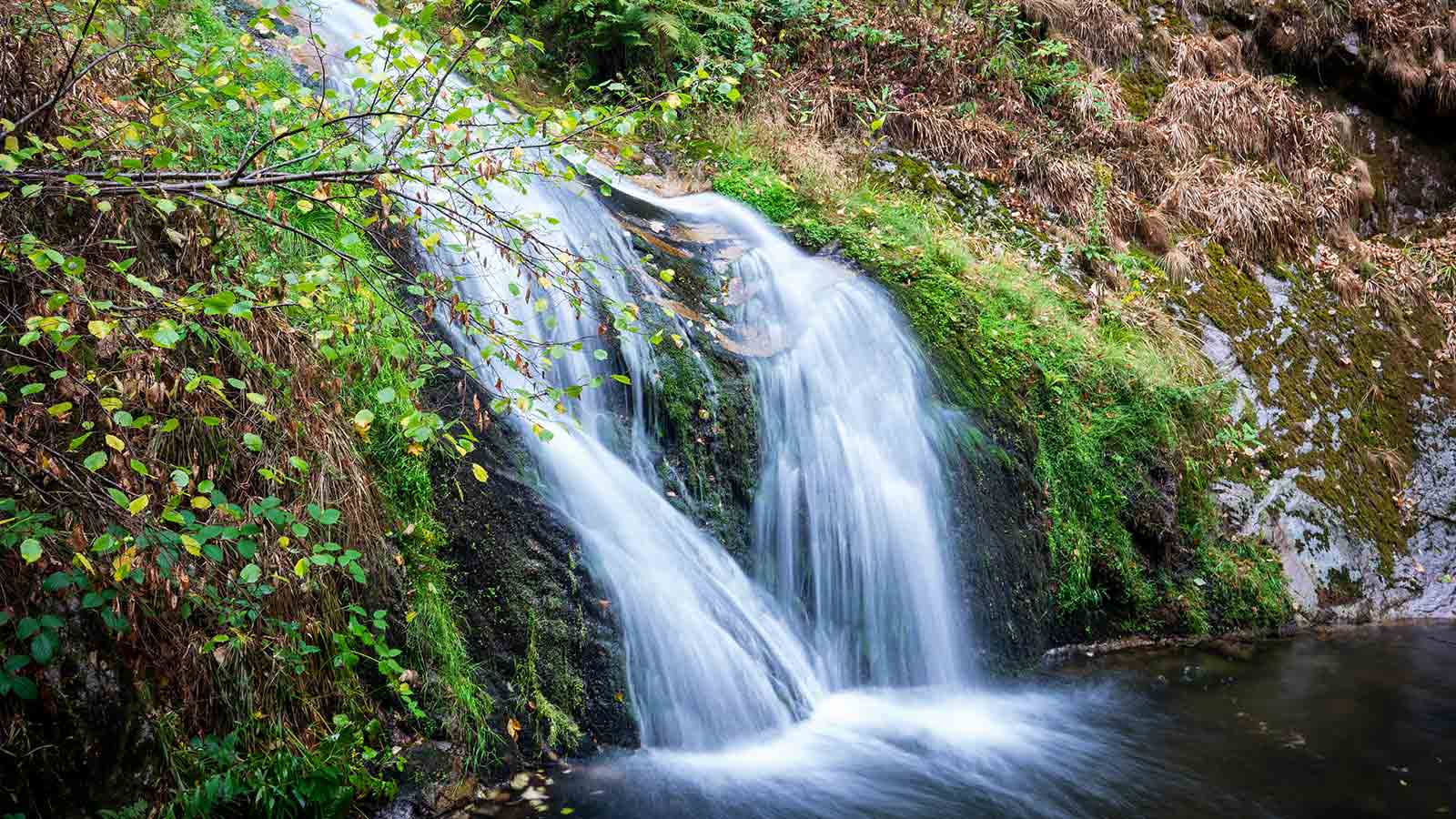 Wasserfall in einem Wald