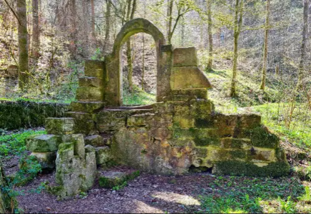 Ruine Hankertsmühle mit Wald im Hintergrund
