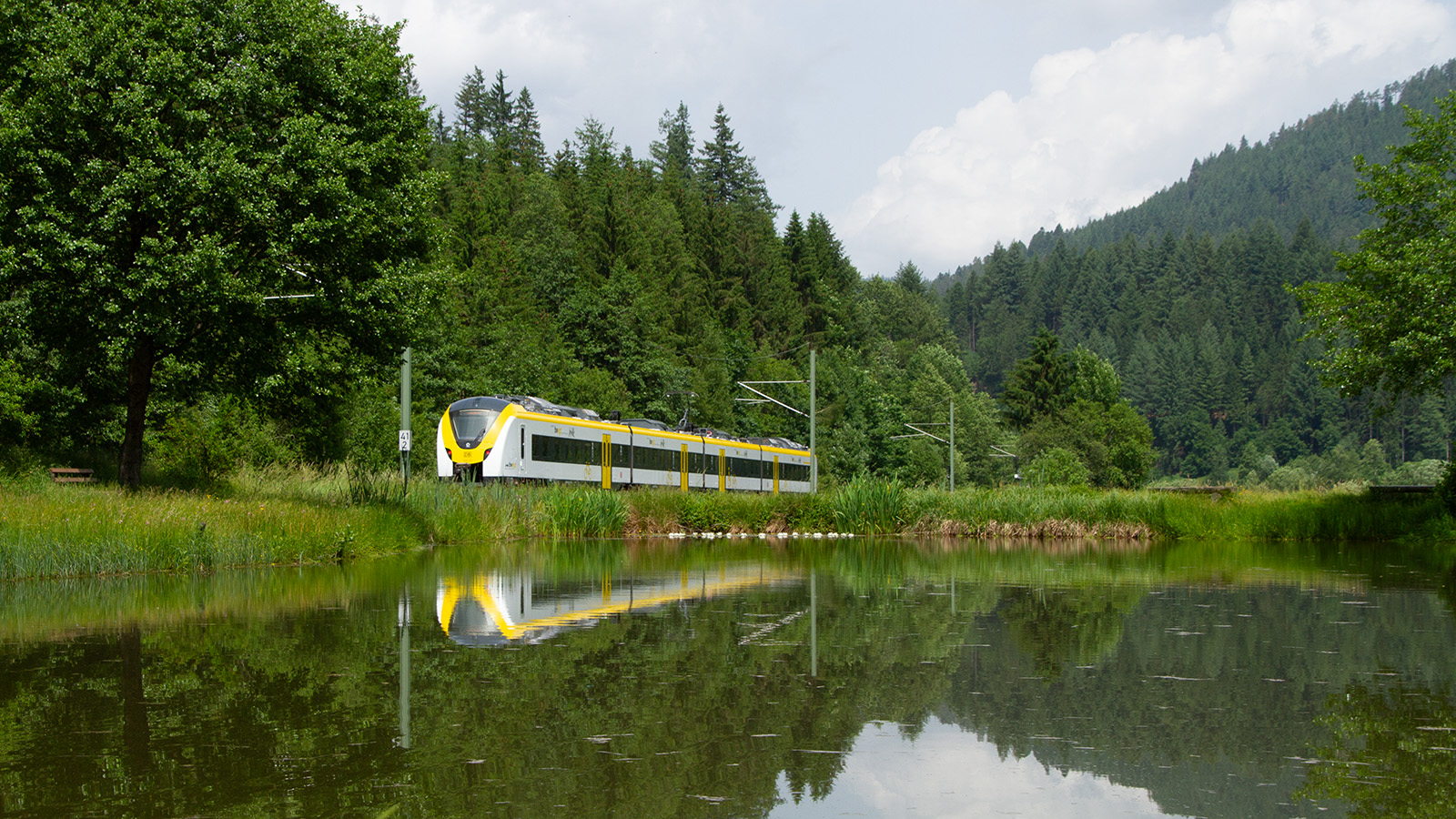 Freizeitexpress-Zug fährt hinter einem See entlang